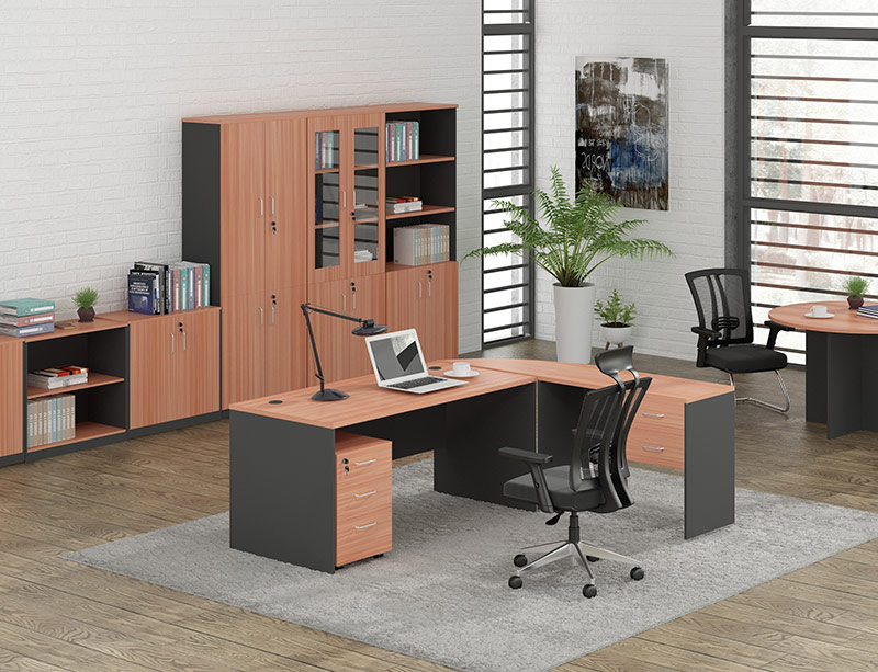 Wooden Office Table with Storage Cabinet