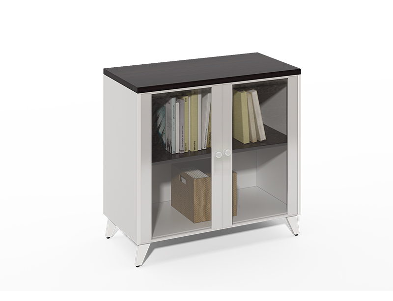 Competitive Price Aluminum frame with 2 glass doors file cabinet and shelf