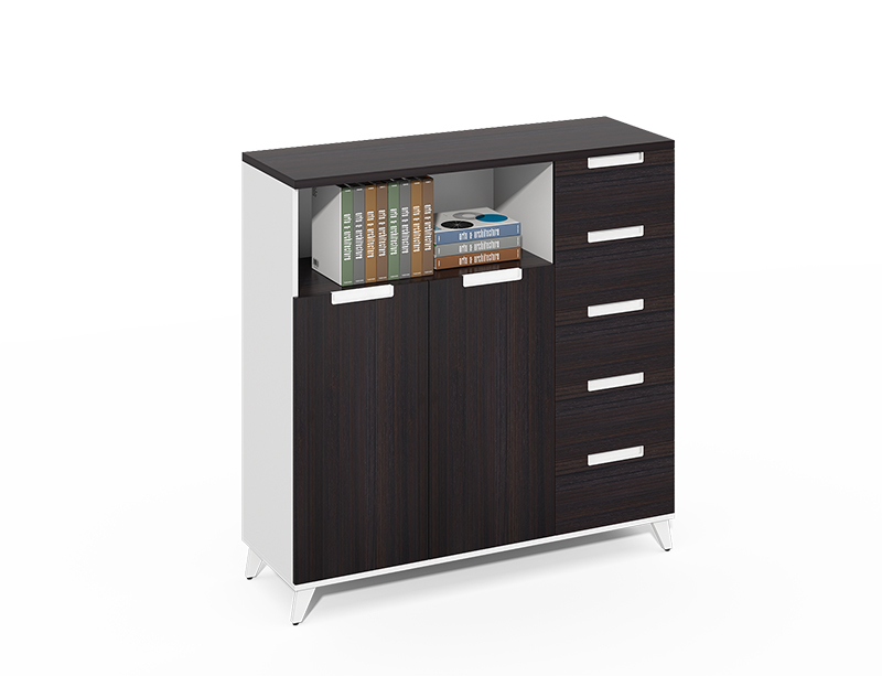 contemporary storage cabinet with lock  